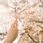 mediumonline.nl - online medium Isha